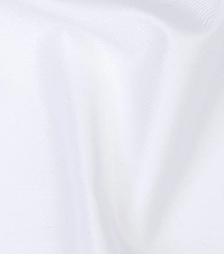 Thomas Mason Wrinkle-Free Shirt
